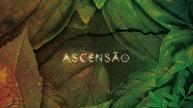 Ascensão - Serena Assumpção