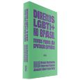 DIREITOS LGBTI+ NO BRASIL: <br> novos rumos da proteção jurídica